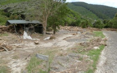 Banks Peninsula Storm 2021