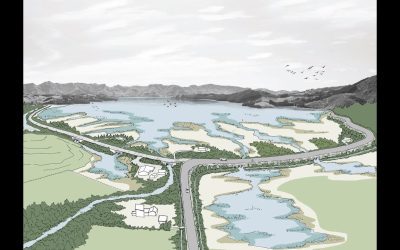 Climate Change Adaptation Plan for Whakaraupō Lyttelton Harbour and Koukourarata Port Levy – Te Pātaka o Rākahautū Banks Peninsula Community Board submission