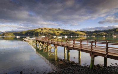 Drummonds Wharf and Daly’s Wharf: From Working Harbours to Tourism Icons of Akaroa’s Waterfront
