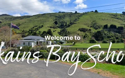 Okains Bay School