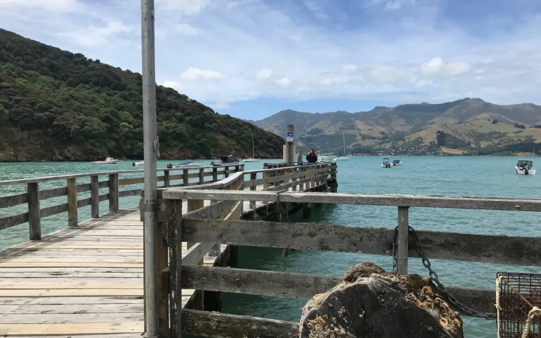 Tikao Bay Jetty Repairs Underway This Summer
