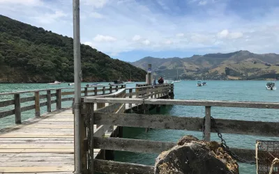 Tikao Bay Jetty Repairs Underway This Summer