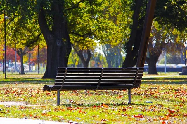 Christchurch City Council parks policy