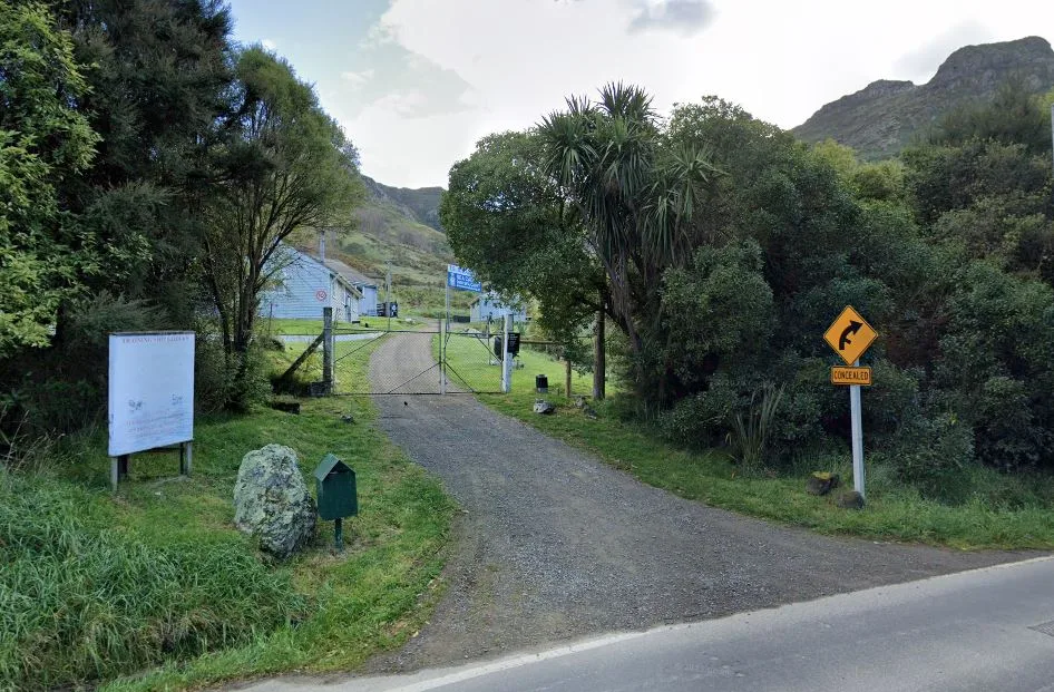 Steadfast Reserve Cass Bay Lyttelton